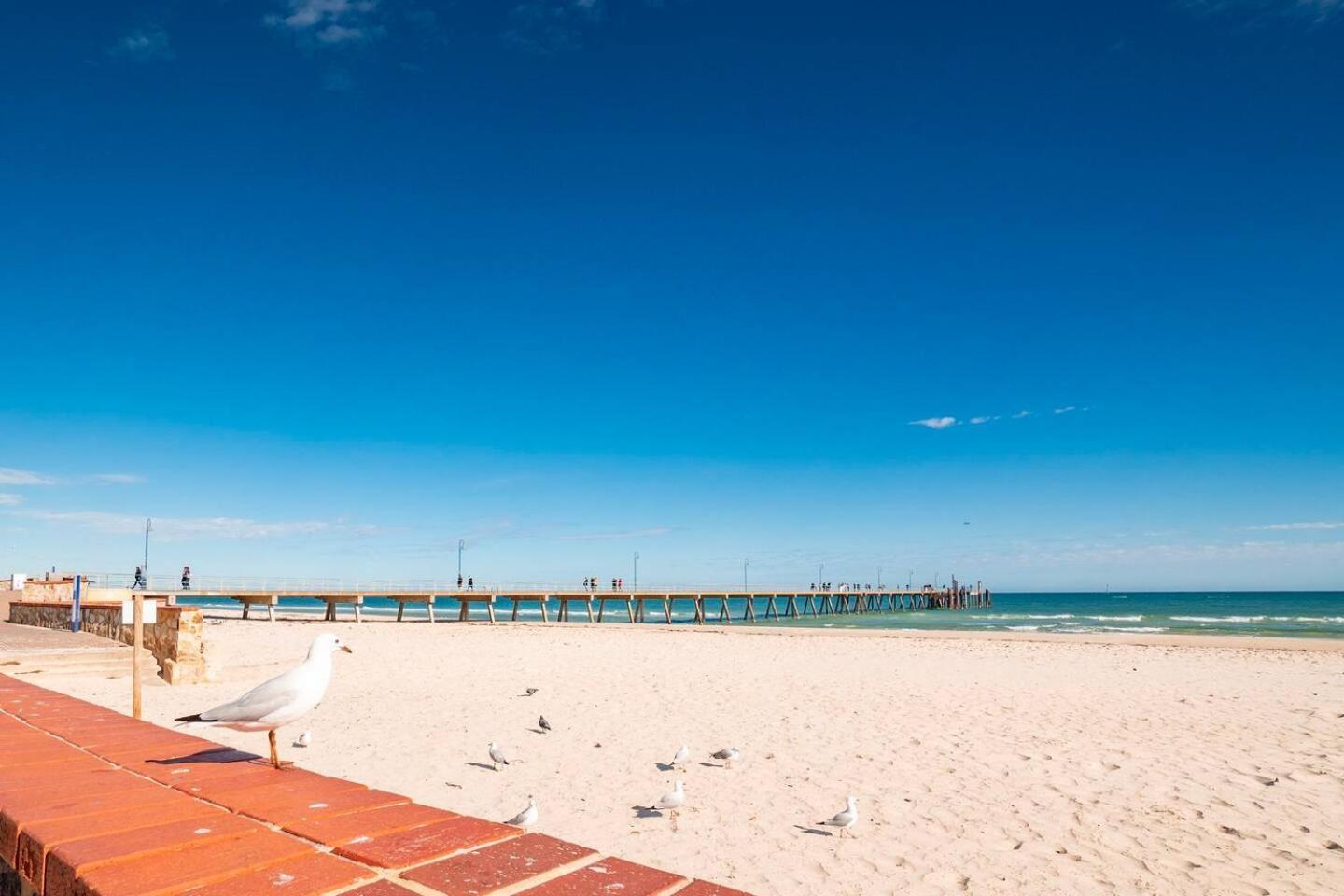 "Ocean Sunset" Glenelg Central Studios Bagian luar foto
